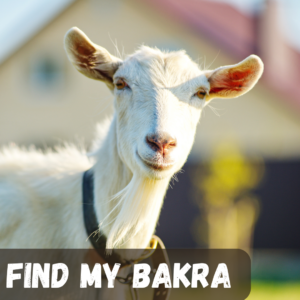 Find My Bakra